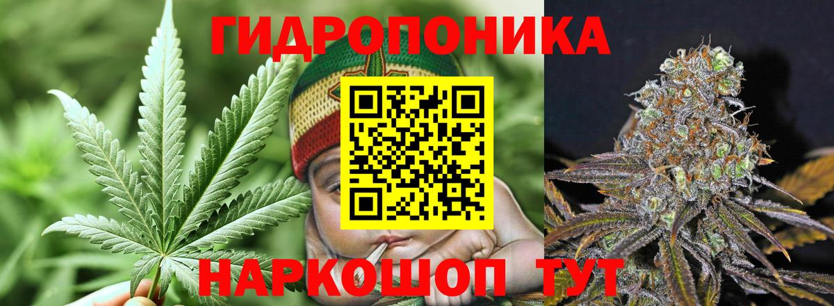 Конопля сатива Волгодонск